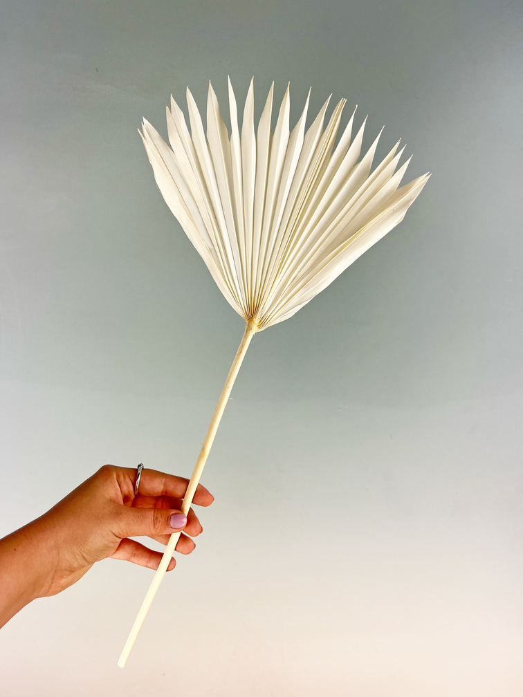 Feuilles de palmier en vrac (deux morceaux) | 50cm