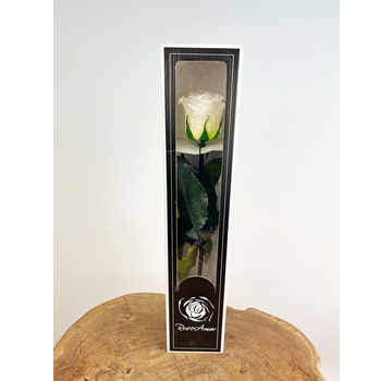 Rose 'blanche' de 30 cm à longue durée de vie dans une boîte cadeau