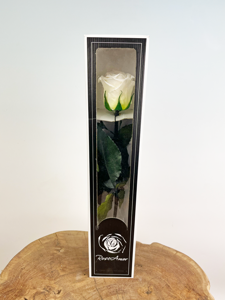 Rose 'blanche' de 30 cm à longue durée de vie dans une boîte cadeau
