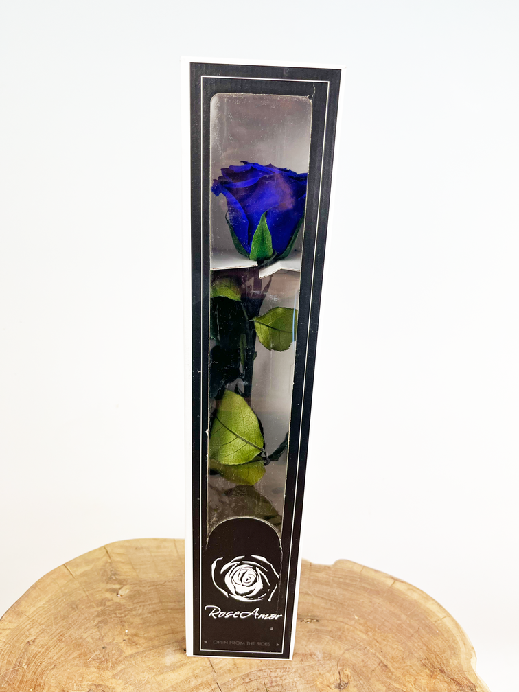Longlife Rose rose 30cm dans une boîte cadeau - différentes couleurs