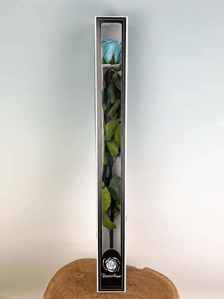 Rosa Longlife 70cm in confezione regalo - vari colori