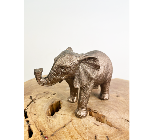 Elefante in bronzo | Piccolo | 18 x 7 x 12 cm