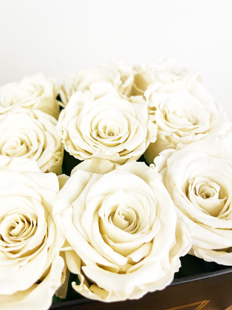 Caja de lujo para rosas de larga duración - 9 rosas 'blancas