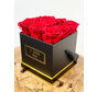 Luxury Longlife Rose Box - 9 Rosen 'rot'