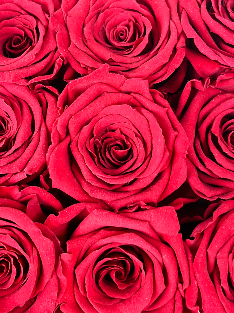 Luxury Longlife Rose Box - 9 Rosen 'rot'