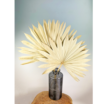 Feuilles de palmier en vrac (deux pièces) | 65cm | Grand