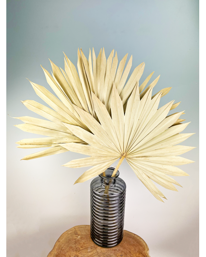 Feuilles de palmier en vrac (deux pièces) | 65cm | Grand