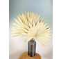 Feuilles de palmier en vrac (deux pièces) | 65cm | Grand