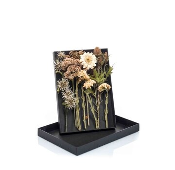Fiori di seta Confezione regalo "Crema