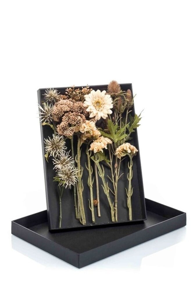 Fiori di seta Confezione regalo "Crema