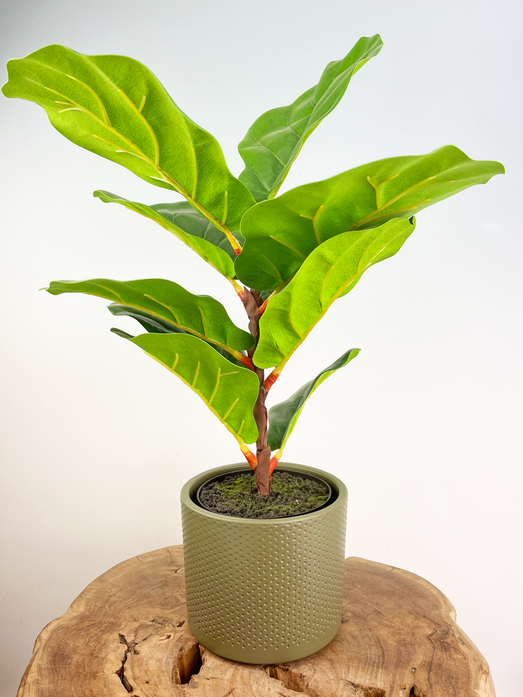 Ter Steege pot de fleurs Era - Vert - 13s15cm