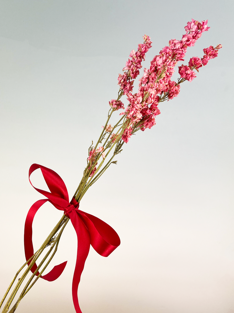 Delphinium rosa