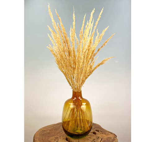 Bouquet di fiori secchi "Homely Feels" | 70cm