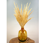 Bouquet di fiori secchi "Homely Feels" | 70cm