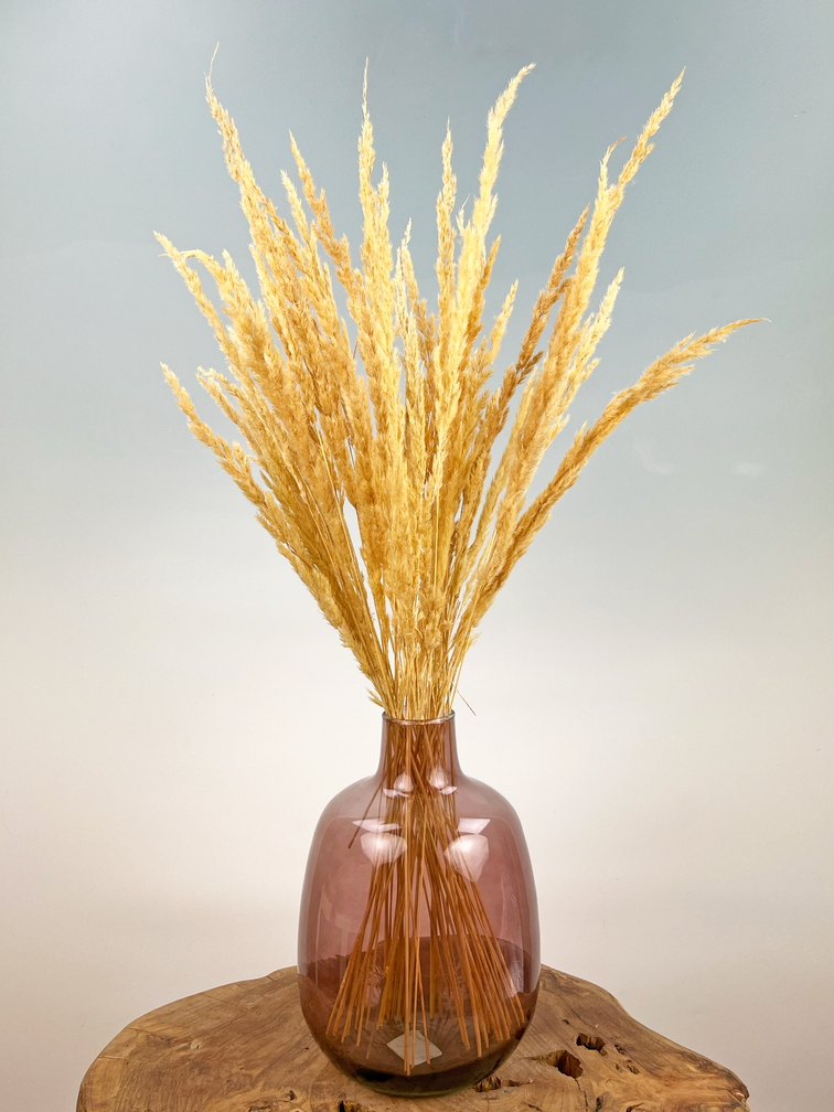 Bouquet di fiori secchi "Homely Feels" | 70cm