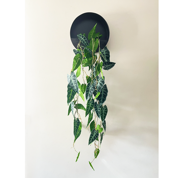 Wall box with silk vines | ⌀32x12 cm