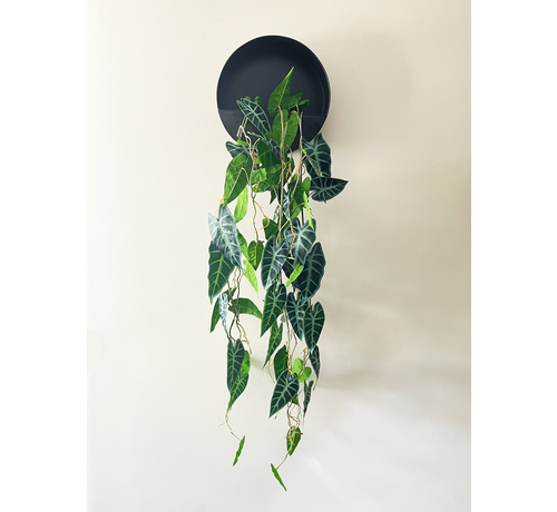 Wall box with silk vines | ⌀32x12 cm