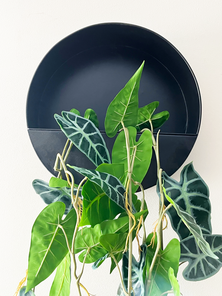Wall box with silk vines | ⌀32x12 cm