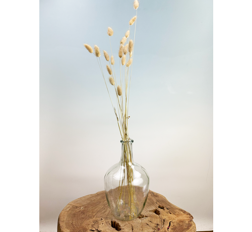 Bouteille "transparente" ø15xh17cm