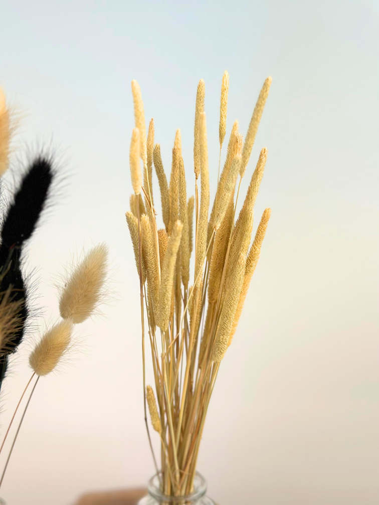 Table/cabinet setting 'Neutrals' | Home decoration set