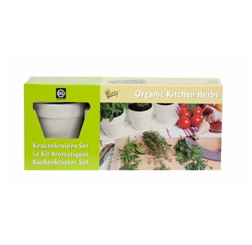 Set di erbe da cucina biologiche Buzzy Bianco