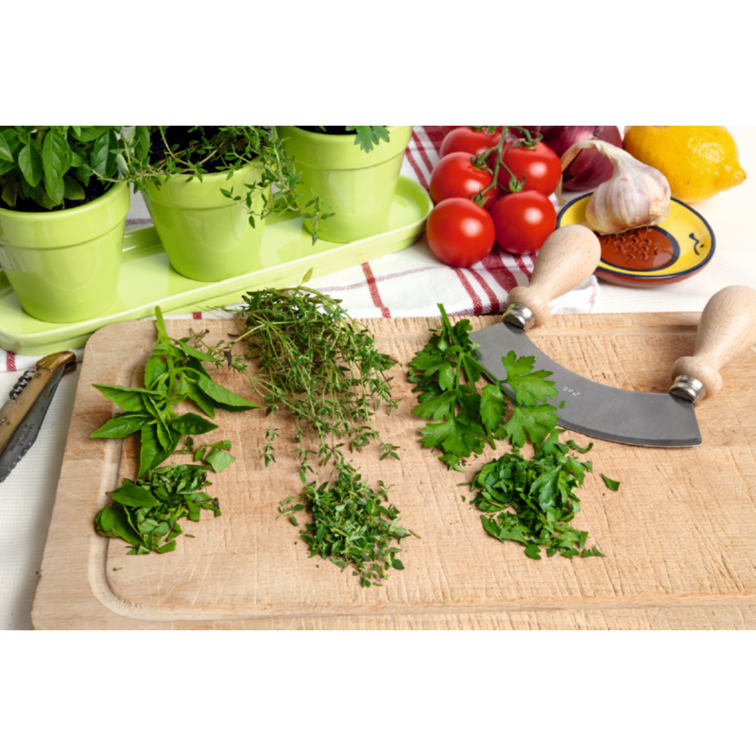 Buzzy Organic Kitchen Herbs Set White