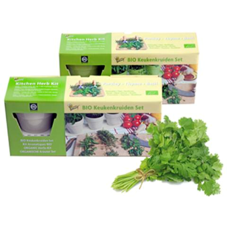 Set de Hierbas de Cocina Ecológicas Buzzy Blanco