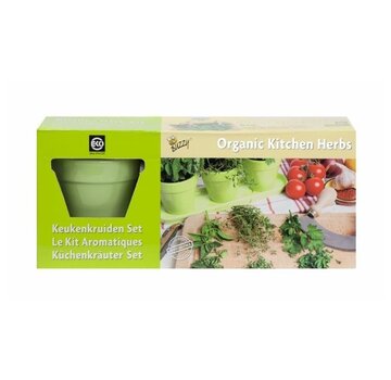Set di erbe da cucina biologiche Buzzy Verde