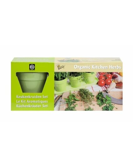Set de Hierbas de Cocina Ecológicas Buzzy Verde