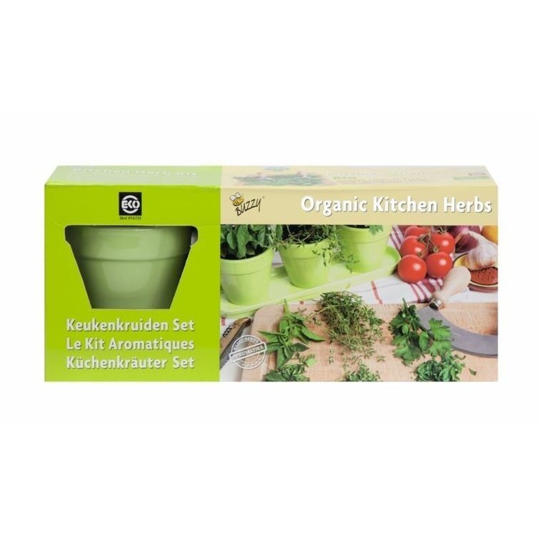 Set di erbe da cucina biologiche Buzzy Verde