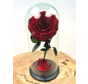 Rosa Hada Longlife en tarro de campana "rojo oscuro" - grande