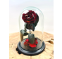 Fairy Longlife Rose im Glas "dunkelrot" - klein