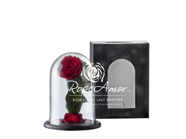 Fairy Longlife Rose im Glas "dunkelrot" - klein