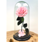 Fairy Longlife Rose in bell jar "pink" - large