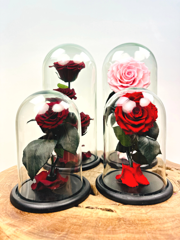 Fairy Longlife Rose im Glas "rosa" - groß