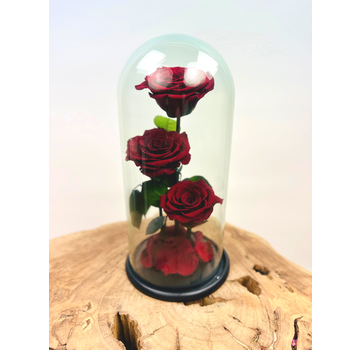 3 roses Longlife dans un bocal "rouge" - grand