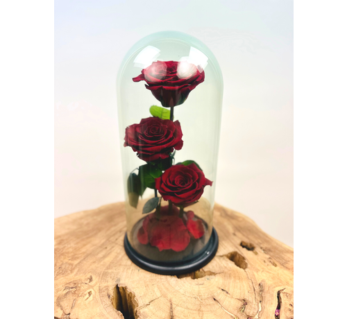 3 roses Longlife dans un bocal "rouge" - grand