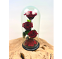 3 Longlife roses in bell jar "red" - large