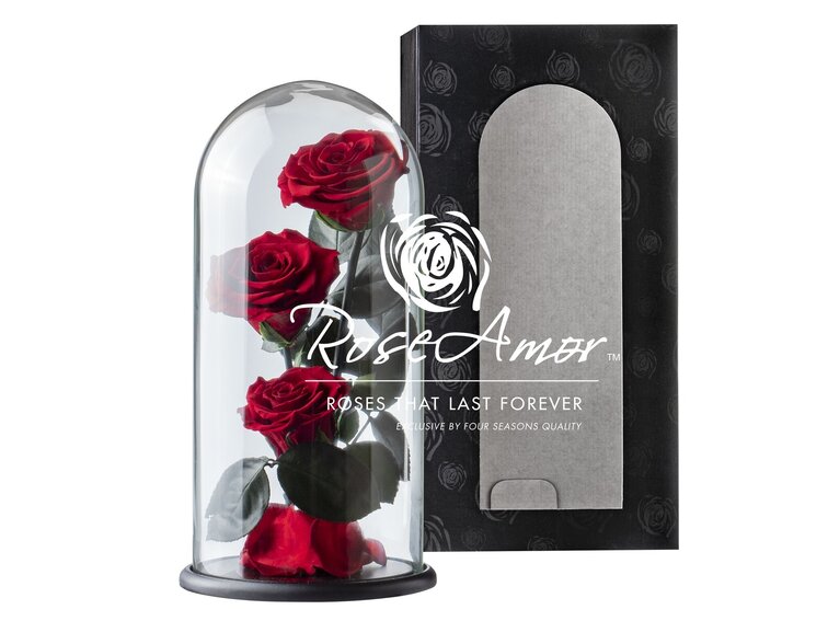 3 Longlife roses in bell jar "red" - large