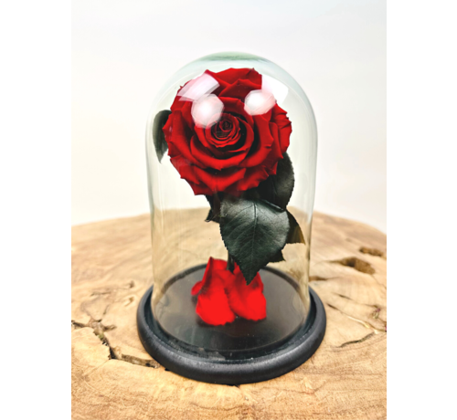 Fairy Longlife Rose dans un bocal "rouge" - petit