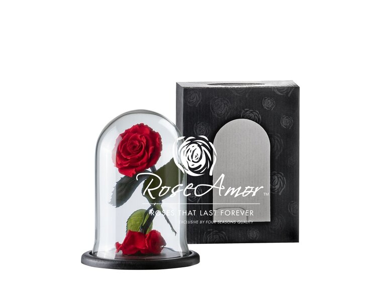 Fairy Longlife Rose dans un bocal "rouge" - petit