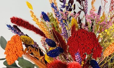 Wie hält man Trockenblumen schön?