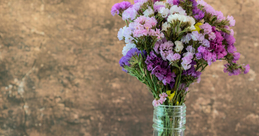 ¿Las flores secas pueden estar al sol?