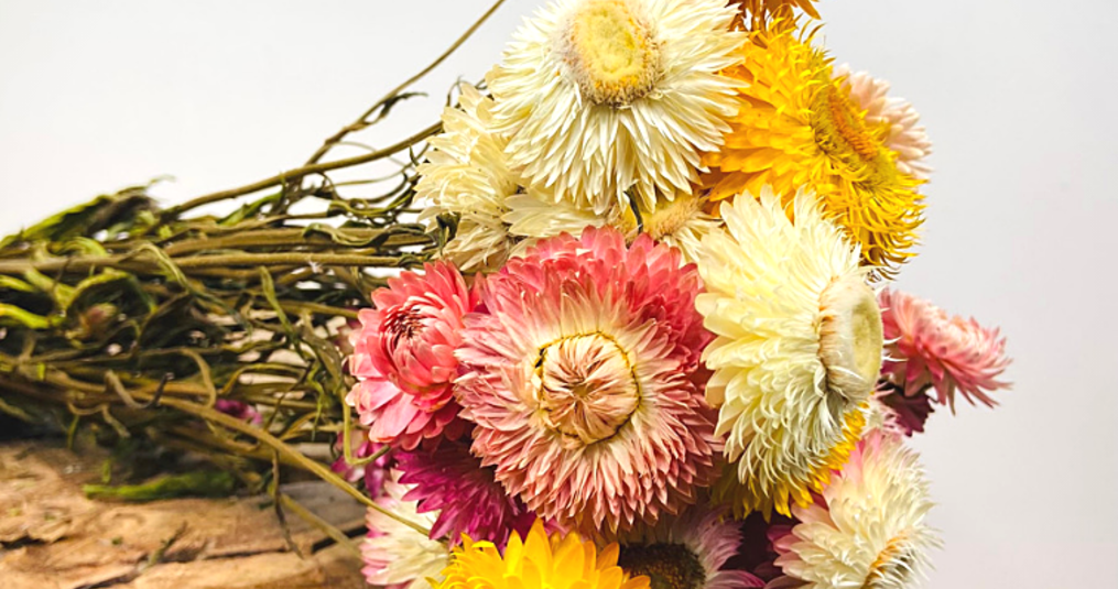 ¿Qué significa el término "flores secas"?