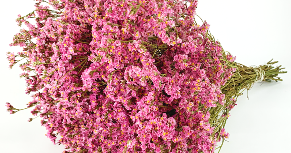 Enkla sätt att torka blommor