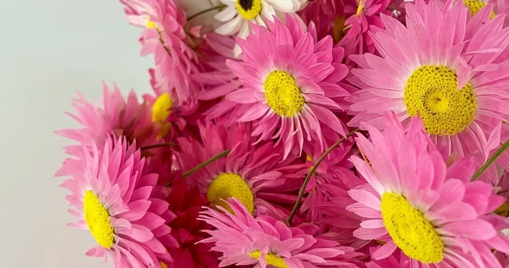 Varför köpa torkade blommor?