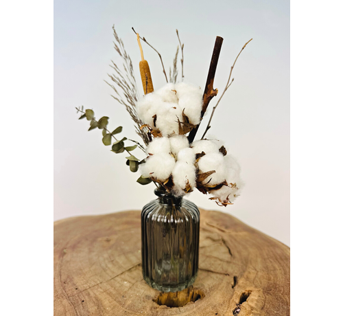 Bouquet de fleurs séchées - "Bombacio small" - incl. vase | 25cm