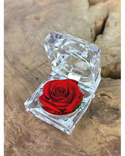 Rote Longlife-Rose in transparenter "Juwel"-Geschenkbox