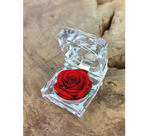 Red Longlife Rose in transparent "jewel" gift box