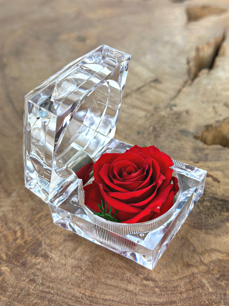 Red Longlife Rose in transparent "jewel" gift box